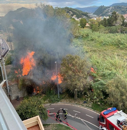 Ventimiglia: incendio nel primo pomeriggio alla vegetazione nell'oasi del Nervia, intervento dei VVF (Foto) Ventimiglia: incendio nel primo pomeriggio alla vegetazione nell'oasi del Nervia, intervento dei VVF (Foto)