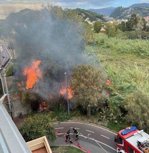 Ventimiglia: incendio nel primo pomeriggio alla vegetazione nell'oasi del Nervia, intervento dei VVF (Foto)