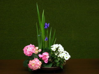 Ikebana di Jenny Banti Pereira Ikebana di Jenny Banti Pereira