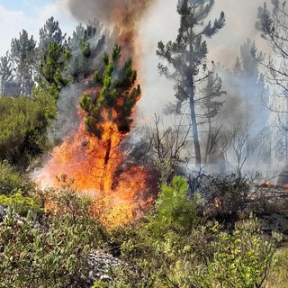 Ventimiglia: incendio sul Monte Pozzo, il ringraziamento del Commissario alla Protezione Civile e ai Vigili del Fuoco Ventimiglia: incendio sul Monte Pozzo, il ringraziamento del Commissario alla Protezione Civile e ai Vigili del Fuoco
