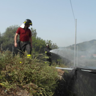 In fiamme terreno vicino alle abitazioni in via Sant’Anna a Camporosso, paura per i residenti In fiamme terreno vicino alle abitazioni in via Sant’Anna a Camporosso, paura per i residenti
