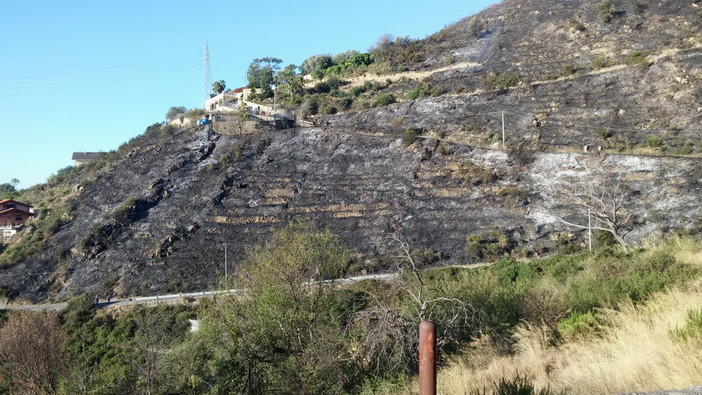 Sanremo: incendio di questa notte a Coldirodi, l'intervento di due elicotteri per le operazioni di bonifica (Foto e Video) Sanremo: incendio di questa notte a Coldirodi, l'intervento di due elicotteri per le operazioni di bonifica (Foto e Video)