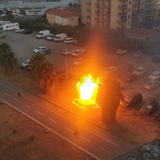 Le immagini dell'incendio Le immagini dell'incendio