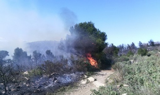 Cervo: si allarga il fronte dell'incendio, Canadair ed Elicotteri in azione, in allarme la frazione Chiappa Cervo: si allarga il fronte dell'incendio, Canadair ed Elicotteri in azione, in allarme la frazione Chiappa