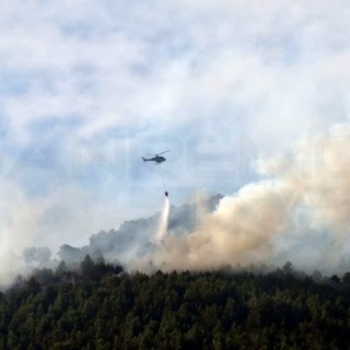 Sanremo: focolai nella zona dell'incendio di venerdì a Borello, tornano le squadre a terra e anche l'elicottero Sanremo: focolai nella zona dell'incendio di venerdì a Borello, tornano le squadre a terra e anche l'elicottero