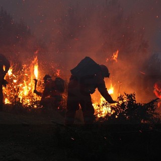 Imperia: incendio di sterpaglie questa notte in via Cantalupo, è stato spento dai Vigili del Fuoco