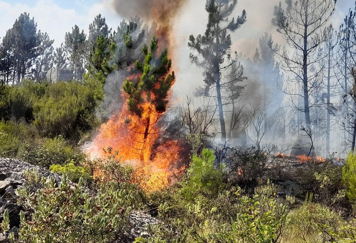 Ripartito l'incendio sul Monte Pozzo: in azione vigili del fuoco e due Candair