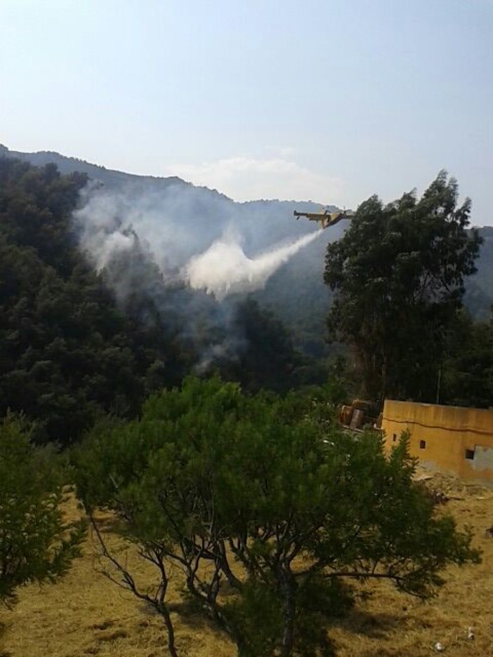Perinaldo: nuovo incendio boschivo. In azione Vigili del Fuoco e Corpo Forestale dello Stato Perinaldo: nuovo incendio boschivo. In azione Vigili del Fuoco e Corpo Forestale dello Stato