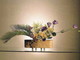 Sanremo: venerdì conferenza sull'antica arte dell'Ikebana insieme all'Unitre