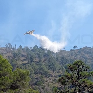 Ventimiglia: incendio sul Grammondo a Torri, ancora fiamme con Canadair ed elicottero in azione Ventimiglia: incendio sul Grammondo a Torri, ancora fiamme con Canadair ed elicottero in azione