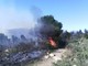 Cervo: si allarga il fronte dell'incendio, Canadair ed Elicotteri in azione, in allarme la frazione Chiappa Cervo: si allarga il fronte dell'incendio, Canadair ed Elicotteri in azione, in allarme la frazione Chiappa