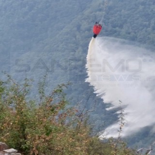 Molini di Triora: incendio boschivo in frazione Agaggio, Vigili del Fuoco e due elicotteri per spegnerlo