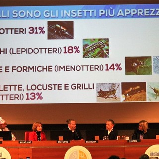 Gli insetti entrano nella nostra alimentazione: prepariamoci a mangiare grilli e cavallette