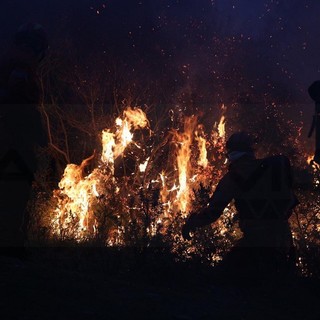 Dolcedo: vasto incendio in zona Santa Brigida, in azione anche l'elicottero
