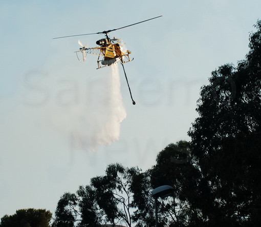 48 ore di fuoco sulla provincia di Imperia: bruciati 18 ettari di bosco