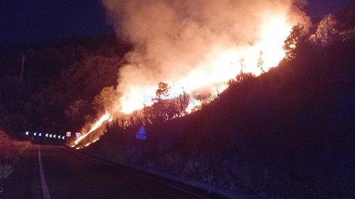 Le immagini dal luogo dell'incendio