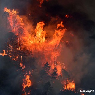 Incendi e siccità, l'appello di una serie di associazioni del Ponente