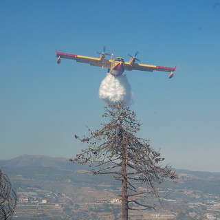 Ceriana: a fuoco 5 ettari di bosco, arrivato anche un Canadair da Olbia