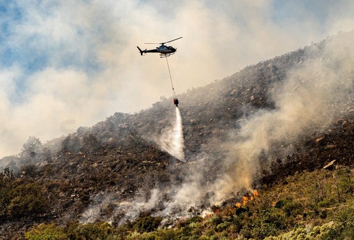 Ponente nella morsa degli incendi: a Ceriana alcune famiglie rientrano a casa, c'è paura per nuovi focolai Ponente nella morsa degli incendi: a Ceriana alcune famiglie rientrano a casa, c'è paura per nuovi focolai