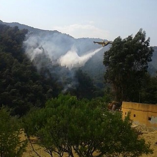 Perinaldo: nuovo incendio boschivo. In azione Vigili del Fuoco e Corpo Forestale dello Stato Perinaldo: nuovo incendio boschivo. In azione Vigili del Fuoco e Corpo Forestale dello Stato