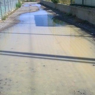 Sanremo: lettore chiede l'asfaltatura della strada che porta all'ingresso della pista d'atletica Sanremo: lettore chiede l'asfaltatura della strada che porta all'ingresso della pista d'atletica