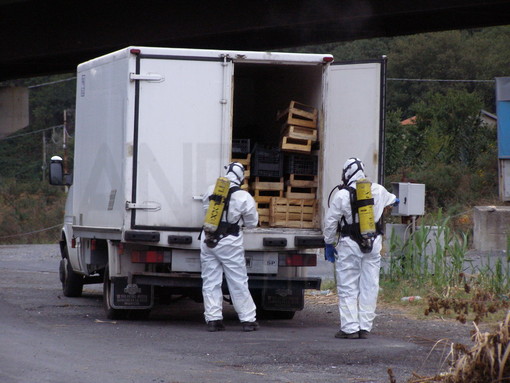 Pontedassio: forte odore da un camion spagnolo, si pensa ad un cadavere ma sono funghi in putrefazione