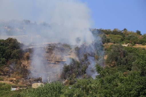 Prelà: piccolo incendio boschivo nel primo pomeriggio di oggi in un oliveto, intervento dei Vigili del Fuoco