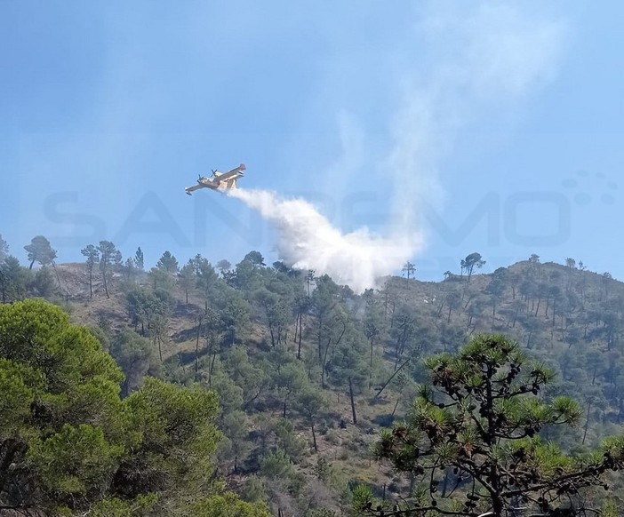 Ventimiglia: incendio sul Grammondo a Torri, ancora fiamme con Canadair ed elicottero in azione