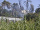 Bordighera: incendio ad una serra nelle vicinanze del parco Winter, le foto di Tonino Bonomo