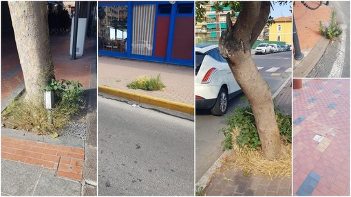 Ventimiglia, Scullino: "Ci sono tante cose da fare, bisogna iniziare dai piccoli interventi di manutenzione" (Foto) Ventimiglia, Scullino: "Ci sono tante cose da fare, bisogna iniziare dai piccoli interventi di manutenzione" (Foto)