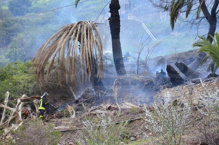 Bordighera: due palme vanno a fuoco nella zona del cimitero dell'Arziglia, intervento dei VVF