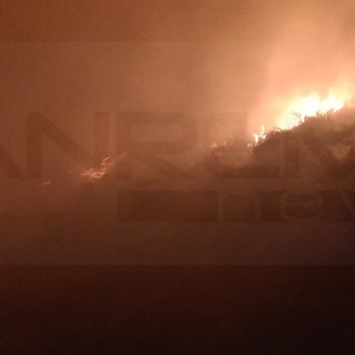 Imperia: incendio di sterpaglie in regione Panegai, sul posto all'opera Vigili del Fuoco e Protezione Civile Imperia: incendio di sterpaglie in regione Panegai, sul posto all'opera Vigili del Fuoco e Protezione Civile