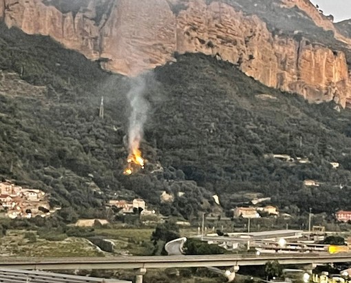 Ventimiglia: piccolo incendio boschivo sopra Roverino, intervento dei Vigili del Fuoco (Foto) Ventimiglia: piccolo incendio boschivo sopra Roverino, intervento dei Vigili del Fuoco (Foto)