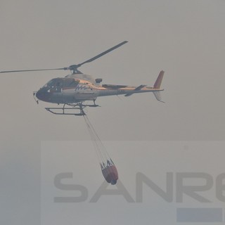 Imperia: nuovo incendio nell'entroterra questa volta a Bestagno, soccorritori ed un elicottero sul posto Imperia: nuovo incendio nell'entroterra questa volta a Bestagno, soccorritori ed un elicottero sul posto