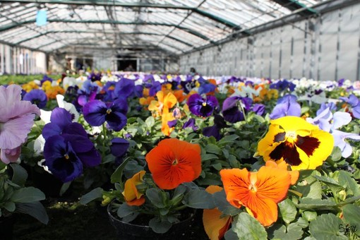 Regione: Ricerca, assegni per oltre 9 mln. Giunta approva graduatorie progetti alta formazione