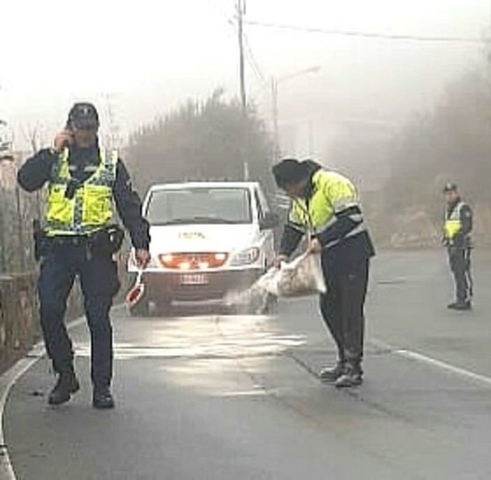 Sanremo: auto finisce contro il muro e sparge olio sulla strada (foto)