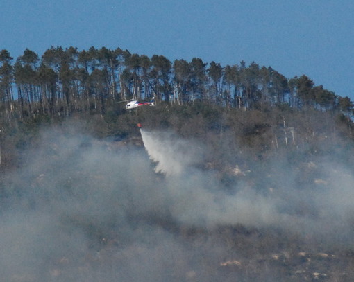 Moltissimi incendi in provincia di Imperia: il commento di un nostro lettore Moltissimi incendi in provincia di Imperia: il commento di un nostro lettore
