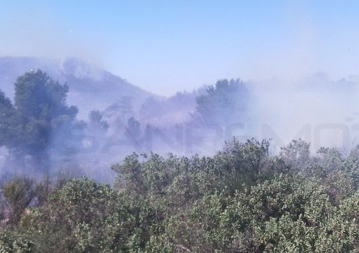 Incendio nel parco pubblico del Ciapà a Cervo: i ringraziamenti dell'Amministrazione ai soccorritori