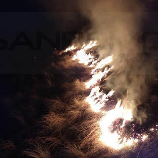 Incendio boschivo questa notte nella zona di Monte Ceppo: spento alle 2 da Protezione Civile e Rangers (Foto e Video) Incendio boschivo questa notte nella zona di Monte Ceppo: spento alle 2 da Protezione Civile e Rangers (Foto e Video)