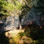Incendi boschivi, dal 4 luglio scatta lo stato di grave pericolosità in tutta la Liguria Incendi boschivi, dal 4 luglio scatta lo stato di grave pericolosità in tutta la Liguria