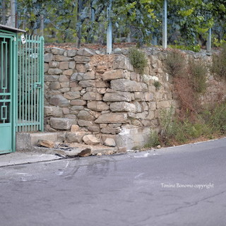 Ceriana: incidente mortale dell'altra notte, la macchina è uscita di strada a causa dell'alta velocità Ceriana: incidente mortale dell'altra notte, la macchina è uscita di strada a causa dell'alta velocità