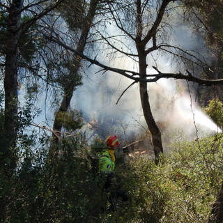 Incendi boschivi. stato di grave pericolosità ancora attivo nella provincia di Imperia
