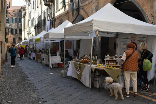 Menifestazione 'Meditaggiasca &amp; Expo Valle Argentina Armea' a Taggia