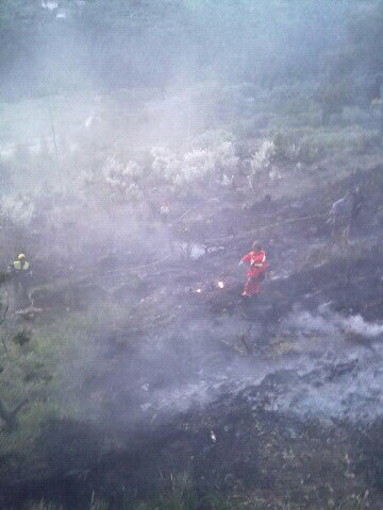 Ventimiglia: piccolo incendio boschivo oggi pomeriggio in località Varase Ventimiglia: piccolo incendio boschivo oggi pomeriggio in località Varase