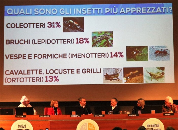 Gli insetti entrano nella nostra alimentazione: prepariamoci a mangiare grilli e cavallette Gli insetti entrano nella nostra alimentazione: prepariamoci a mangiare grilli e cavallette