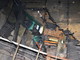 Taggia: incendio in una serra sotto la strada che porta alla A10, intervento dei Vigili del Fuoco di Sanremo Taggia: incendio in una serra sotto la strada che porta alla A10, intervento dei Vigili del Fuoco di Sanremo
