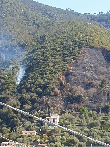 Sanremo: è ripartito l'incendio in zona Suseneo Superiore, intervento dei Vigili del Fuoco