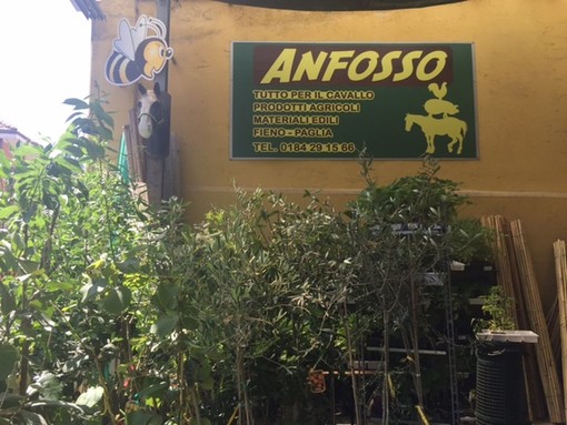 Camporosso: presso la ditta Anfosso Agraria tutti i prodotti per l'apicultura, l'equitazione e la toelettatura. Ma non solo Camporosso: presso la ditta Anfosso Agraria tutti i prodotti per l'apicultura, l'equitazione e la toelettatura. Ma non solo