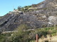 Sanremo: incendio di questa notte a Coldirodi, l'intervento di due elicotteri per le operazioni di bonifica (Foto e Video) Sanremo: incendio di questa notte a Coldirodi, l'intervento di due elicotteri per le operazioni di bonifica (Foto e Video)