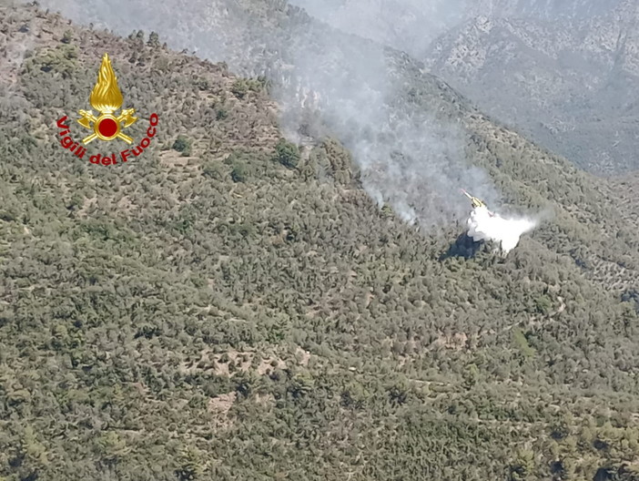 Incendio in Val Roya, proseguono le operazioni di spegnimento: operativi un Canadair e due elicotteri regionali (Foto e Video) Incendio in Val Roya, proseguono le operazioni di spegnimento: operativi un Canadair e due elicotteri regionali (Foto e Video)